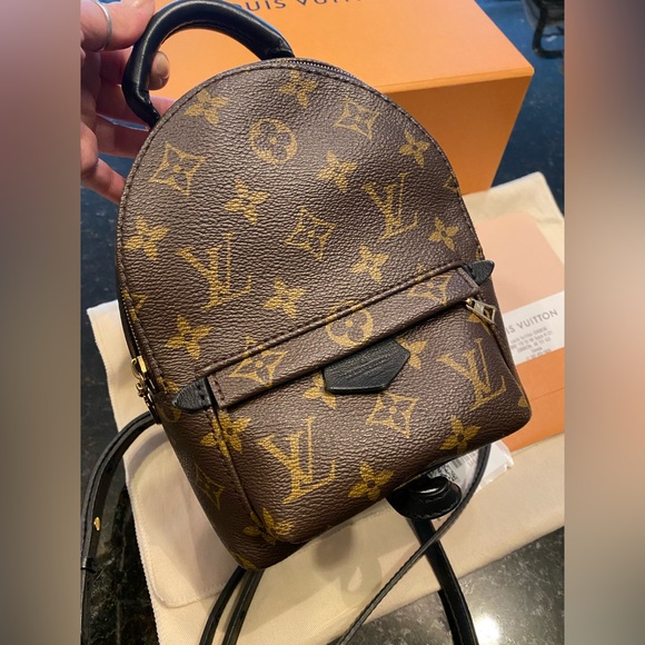 ✨Louis Vuitton Palm Springs Mini Bag/Backpack ✨ - Picture 2 of 10